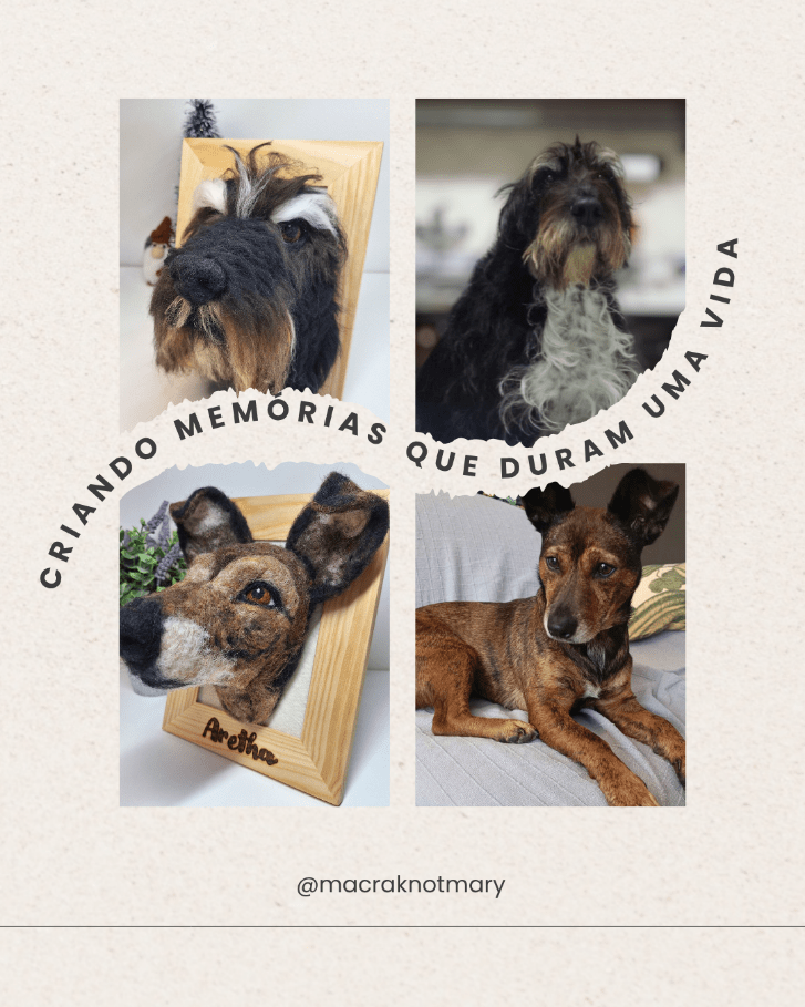 Fotos ideais para criar a réplica perfeita do teu animal em&nbsp;lã