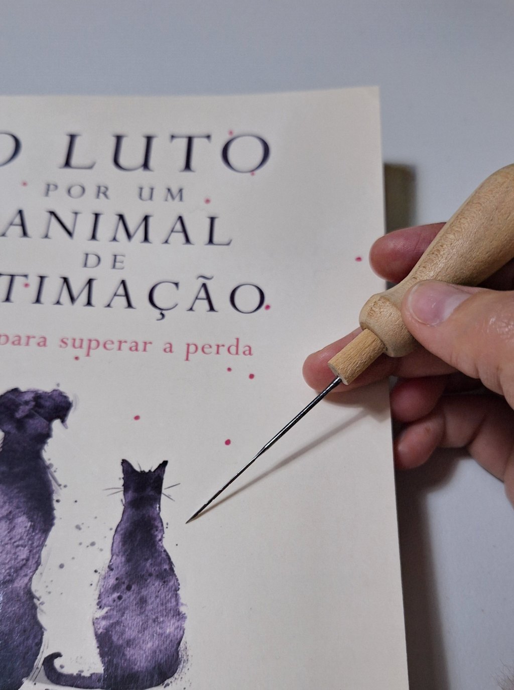 Porque é que o luto por um animal de estimação ainda não é&nbsp;compreendido?
