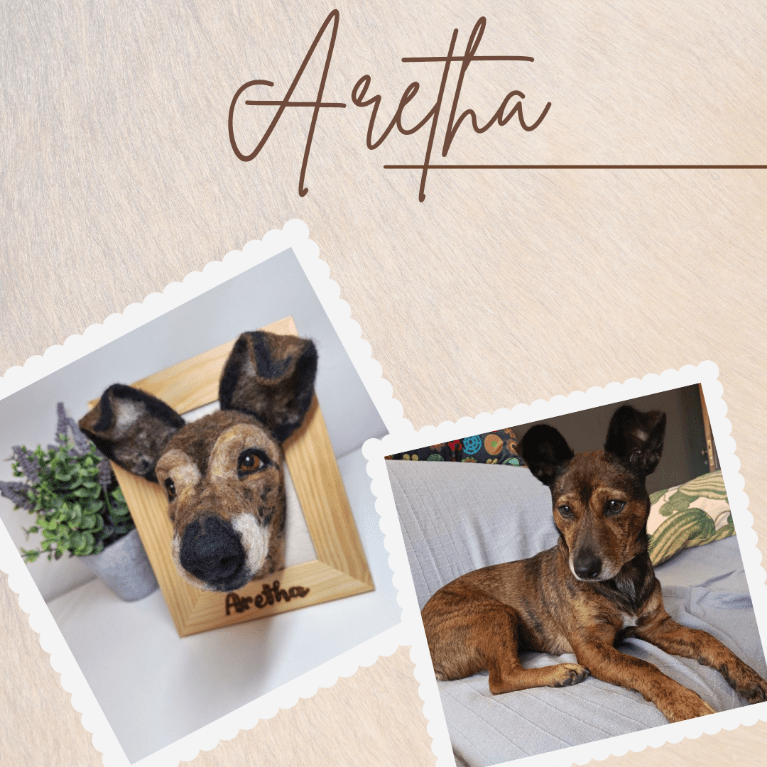 Os pormenores únicos que fazem uma réplica de um animal de estimação parecer mesmo&nbsp;ele