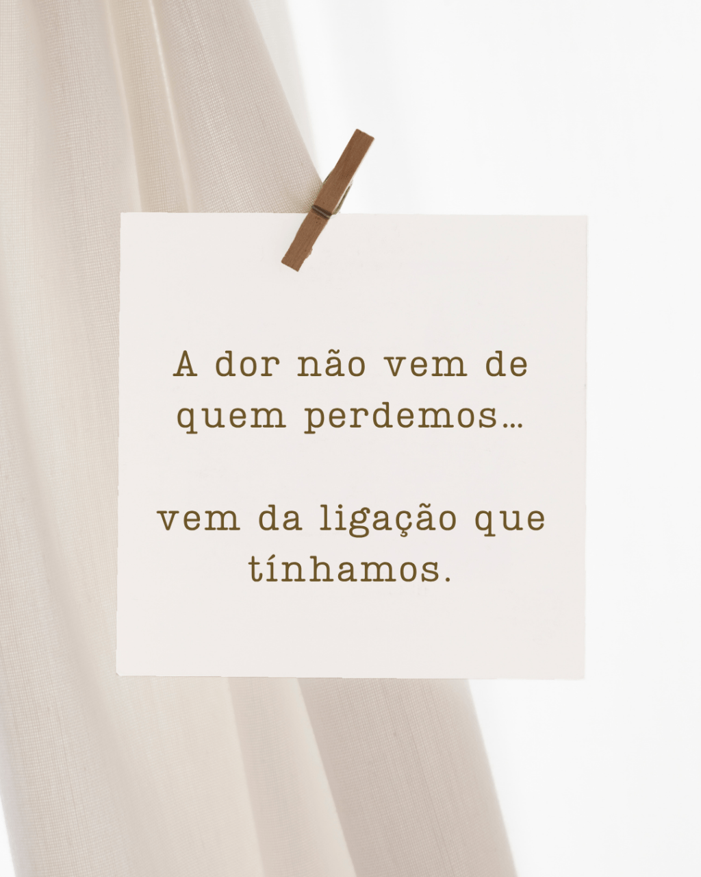 O luto por um animal pode ser tão intenso quanto o de um familiar. Descobre porquê e como lidar com esta dor muitas vezes incompreendida.