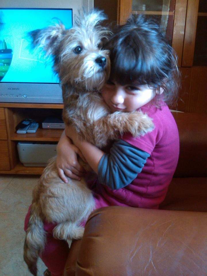 Crescer com um animal de estimação:   Um presente que marca a&nbsp;infância.