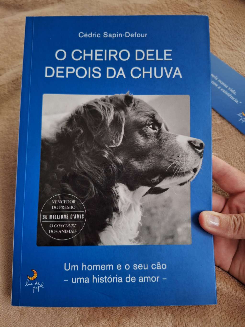 Vale a pena ler O Cheiro Dele Depois da Chuva? A minha opinião sobre um livro que compreende quem ama&nbsp;animais.